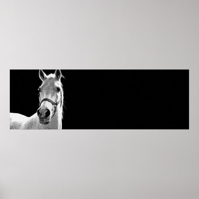 Póster Pintura de caballo blanco y negro (Frente)
