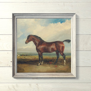Póster Pintura de caballo "Monitor" de James Ward