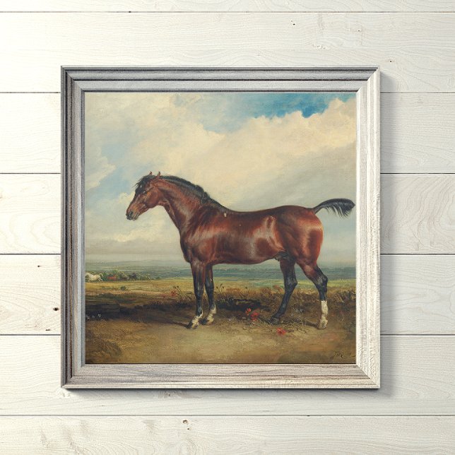 Póster Pintura de caballo "Monitor" de James Ward (Subido por el creador)