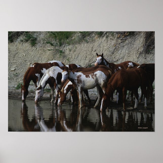 Póster Pintura de caballos (Frente)