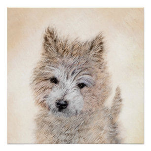 Póster Pintura de Cachorro de Cairn Terrier - Arte Perro 