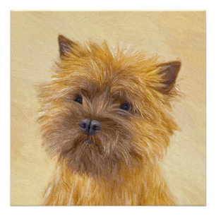 Póster Pintura de Cairn Terrier - Arte de perro original