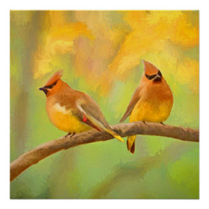Póster Pintura de cedro Waxwing - Arte de perro original 