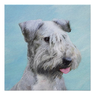 Póster Pintura de Cesky Terrier - Arte de perro original