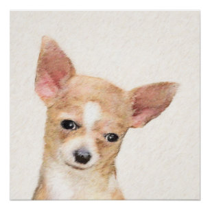 Póster Pintura de Chihuahua - Arte Perro Original.