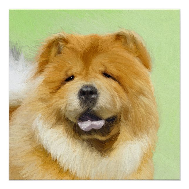 Póster Pintura de Chow Chow - Arte Perro Original. (Anverso)
