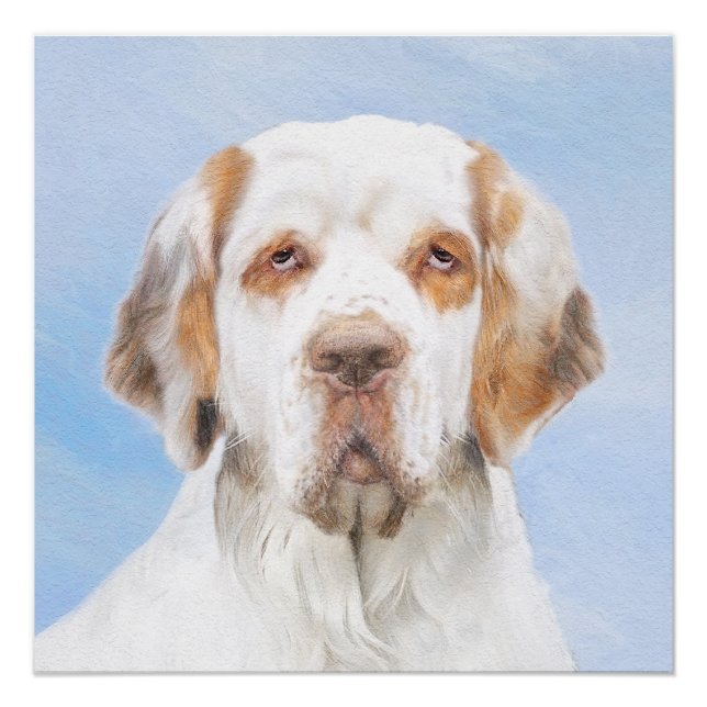 Póster Pintura de Clumber Spaniel - Arte de Perro Origina (Anverso)