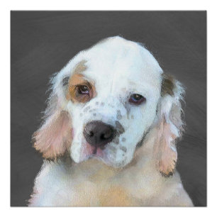 Póster Pintura de Clumber Spaniel - Arte de Perro Origina