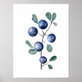 Póster Pintura de color azul de la fruta de las Berries