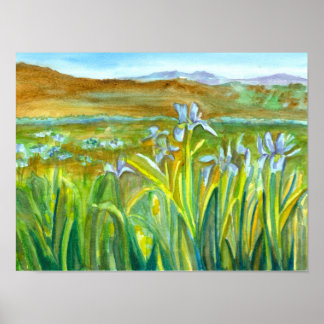Póster Pintura de color de agua de la flor silvestre Iris