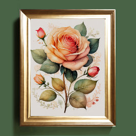 Póster Pintura de color de agua de un rosa Rosa