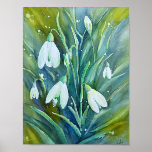 Póster Pintura de color de agua gotas de nieve