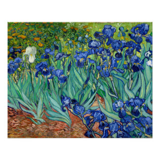 Póster Pintura de cosecha floral de Irises Vincent van Go
