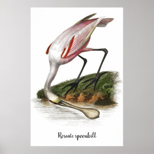 Póster Pintura de cucharada de Roseate