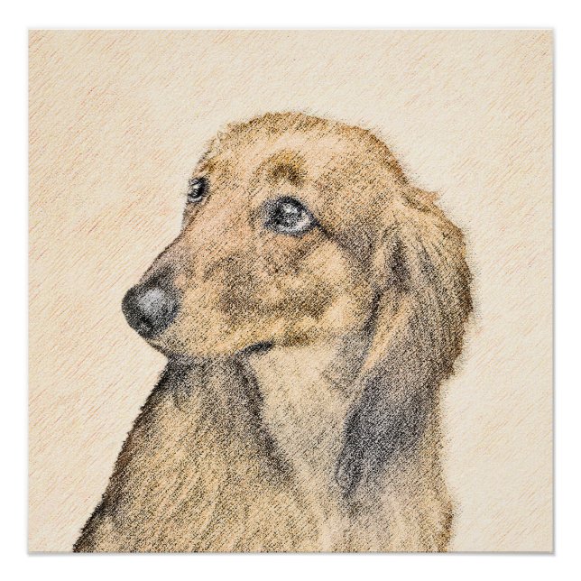 Póster Pintura de Dachshund (de cabello largo) - Arte Per (Anverso)