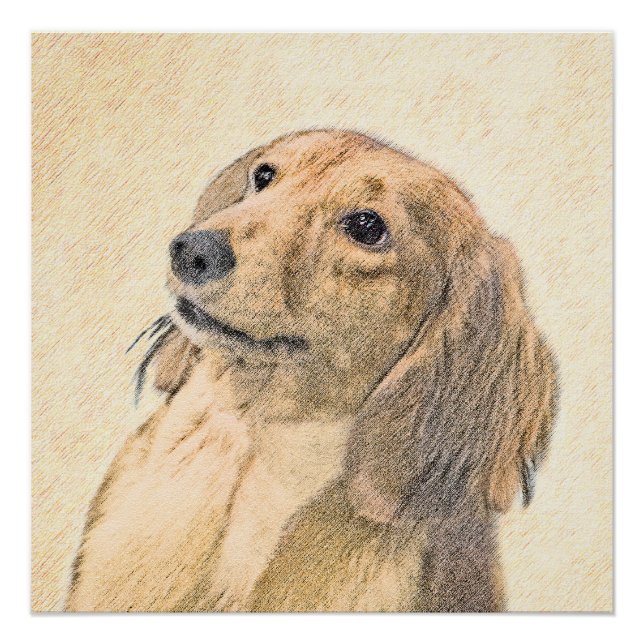 Póster Pintura de Dachshund (de cabello largo) - Arte Per (Anverso)