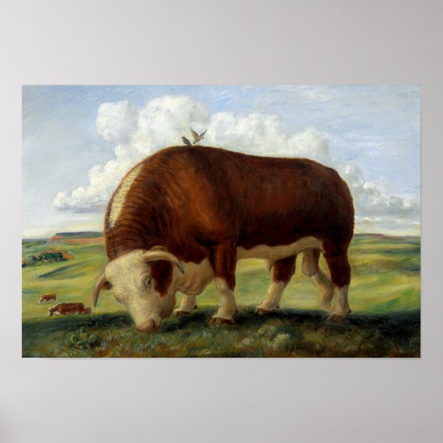 Póster Pintura de época de un toro de Hereford (Frente)