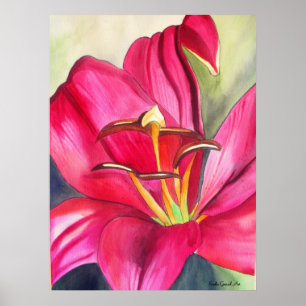 Póster Pintura de flor de acuarela de Red Alert Lily