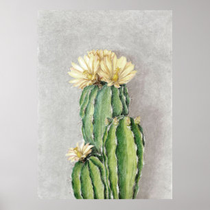 Póster Pintura de flor de Cactus