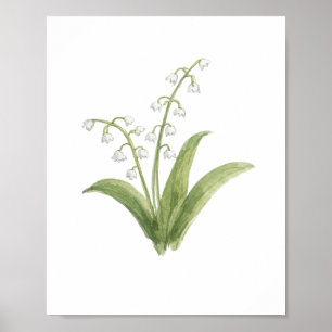 Póster Pintura de Flor de Lirio de los Valles