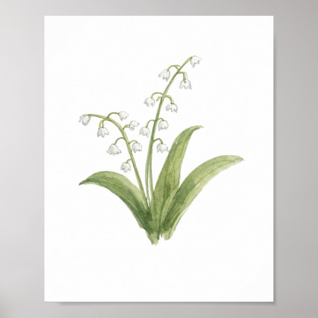 Póster Pintura de Flor de Lirio de los Valles (Frente)