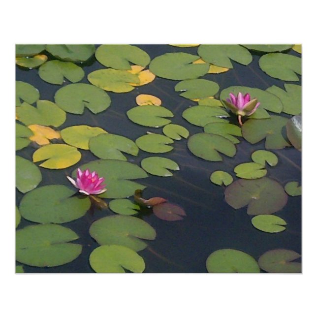 Póster Pintura de flores de Lily Water (Anverso)