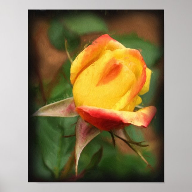Póster Pintura de fotos de flores amarillas rosebud (Frente)
