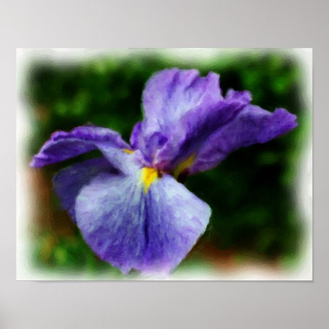 Póster Pintura de fotos de flores Iris japonesas moradas (Frente)