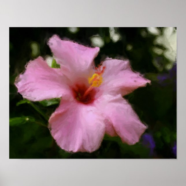Póster Pintura de fotos de flores rosadas de Hibiscus (Frente)