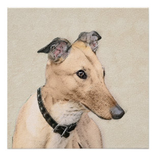 Póster Pintura de Galgo - Arte de Perro Original Lindo