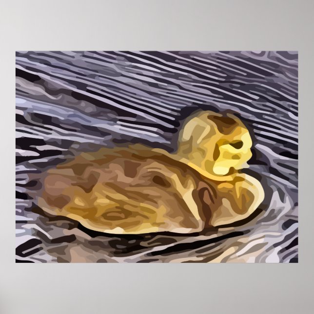 Póster pintura de ganso de bebé (Frente)
