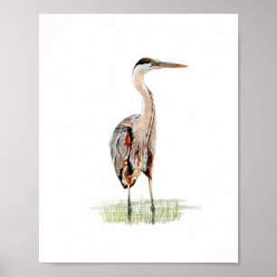 Póster Pintura de garza al aguarela