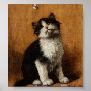 Póster Pintura de gato suave
