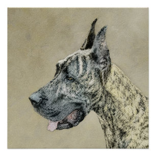 Póster Pintura de gran dano (Brindle) - Arte original del