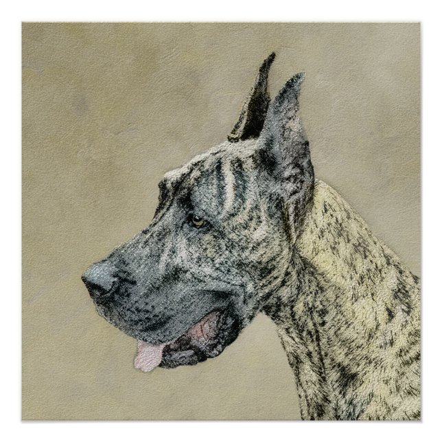 Póster Pintura de gran dano (Brindle) - Arte original del (Anverso)