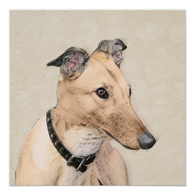 Póster Pintura de Greyhound - Arte de perros original muy (Anverso)