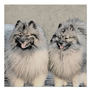 Póster Pintura de Keeshond Brothers - Arte Perro Original