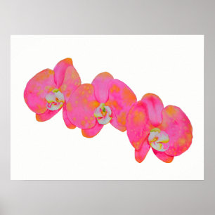 Póster Pintura de la acuarela de color rosa rosa romántic