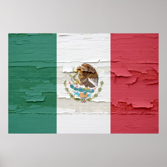 Póster Pintura de la bandera de México con algas (Frente)