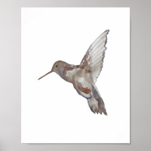 Póster Pintura de la naturaleza del colibrí