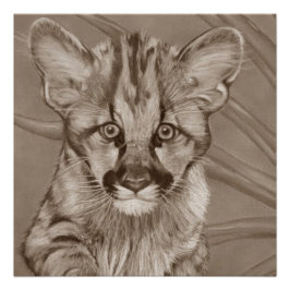 Póster pintura de la vida salvaje del lindo cougar kitten