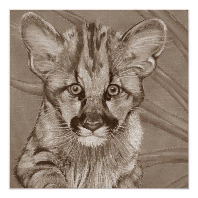 Póster pintura de la vida salvaje del lindo cougar kitten (Anverso)
