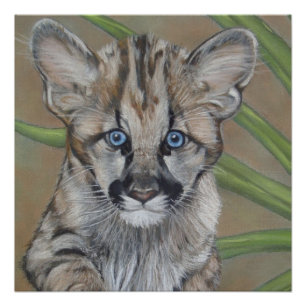 Póster pintura de la vida salvaje del lindo cougar kitten