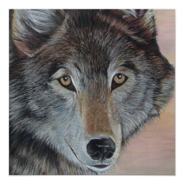 Póster pintura de la vida salvaje del lobo gris (Anverso)