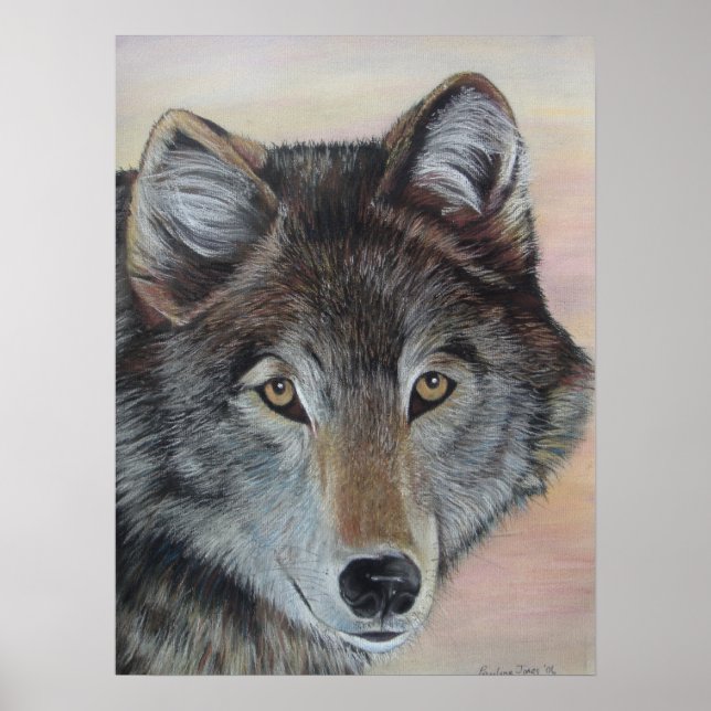 Póster pintura de la vida salvaje del lobo gris (Frente)