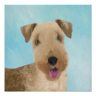 Póster Pintura de Lakeland Terrier - Arte de Perro Origin