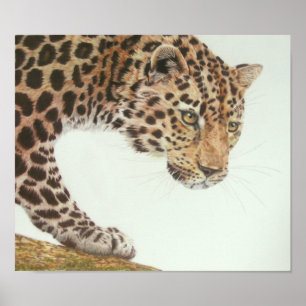 Póster Pintura de leopardo joven