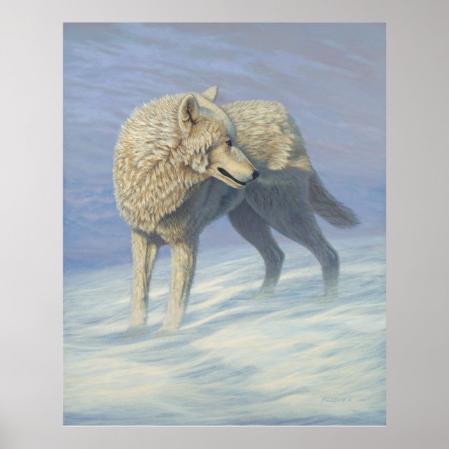 Póster Pintura de lobo blanco - (Frente)