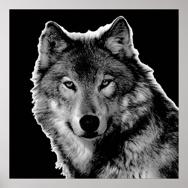 Póster Pintura de Lobo Blanco y Negro (Frente)