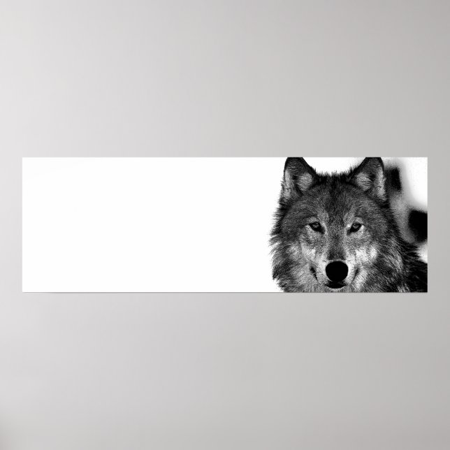 Póster Pintura de Lobo Gris Negro y Blanco (Frente)